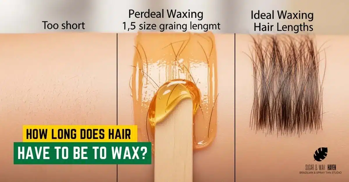How Long Does Hair Have to Be to Wax-Sugar & Wax Heaven