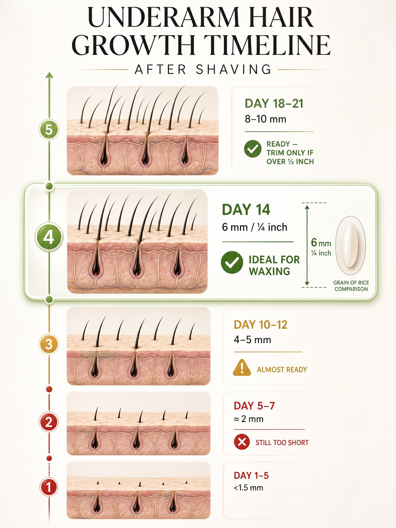 How Long to Grow Underarm Hair Before Waxing